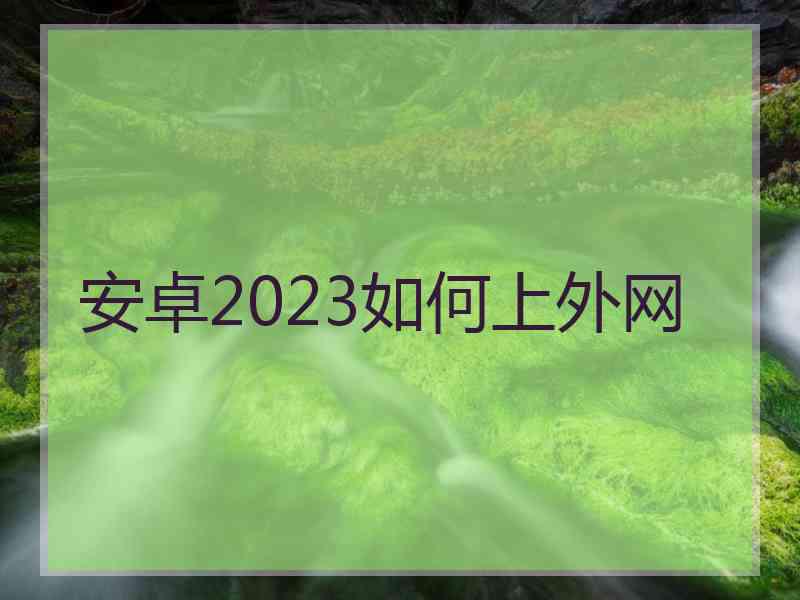 安卓2023如何上外网