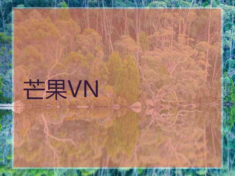 芒果VN