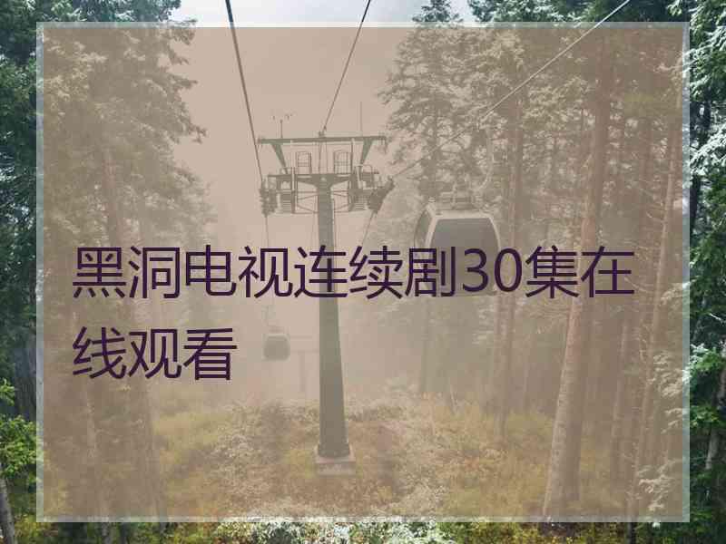 黑洞电视连续剧30集在线观看