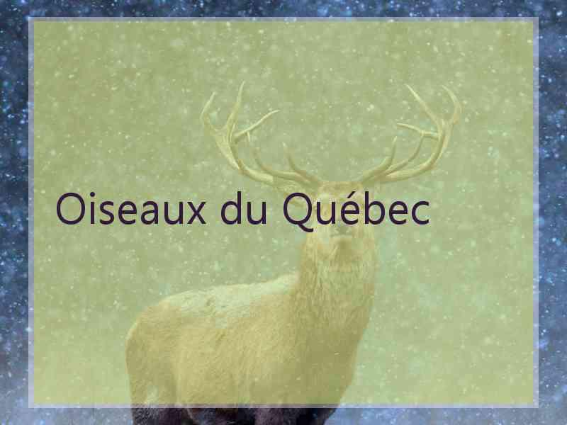 Oiseaux du Québec