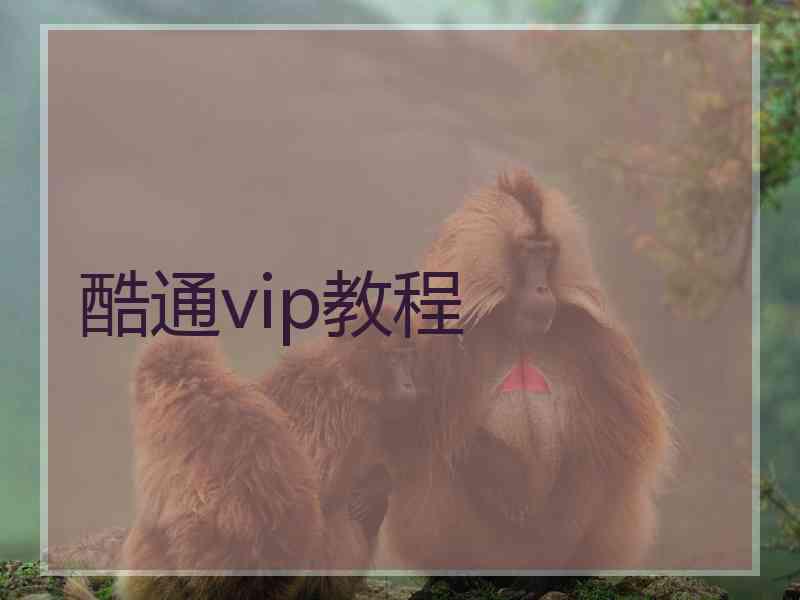 酷通vip教程