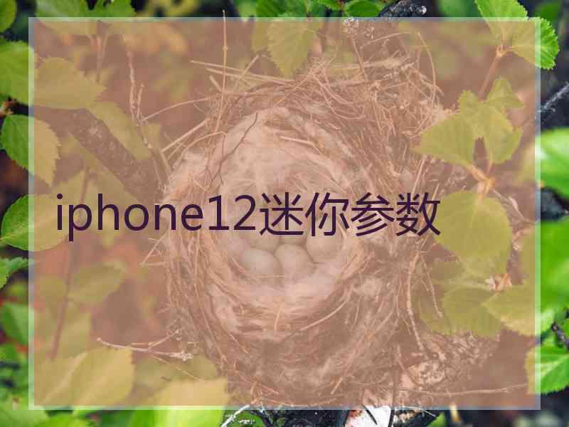 iphone12迷你参数