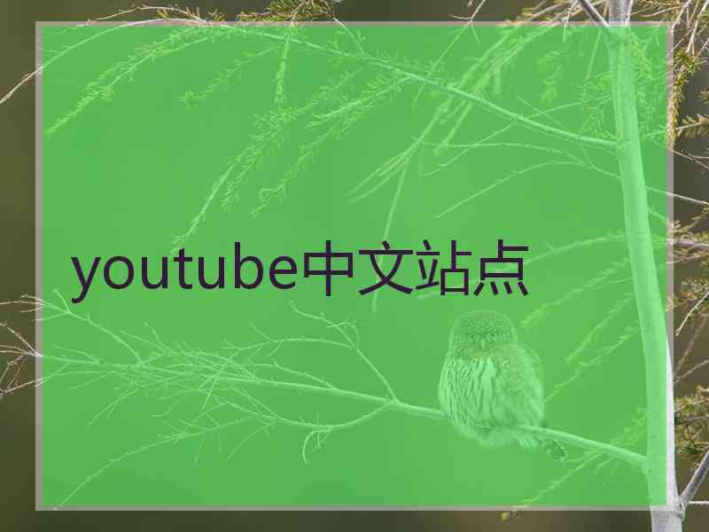 youtube中文站点