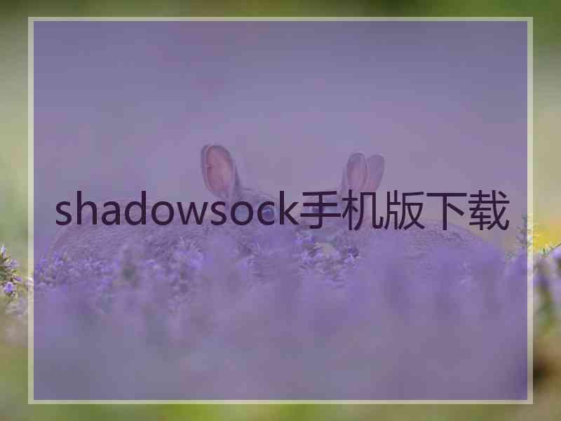 shadowsock手机版下载