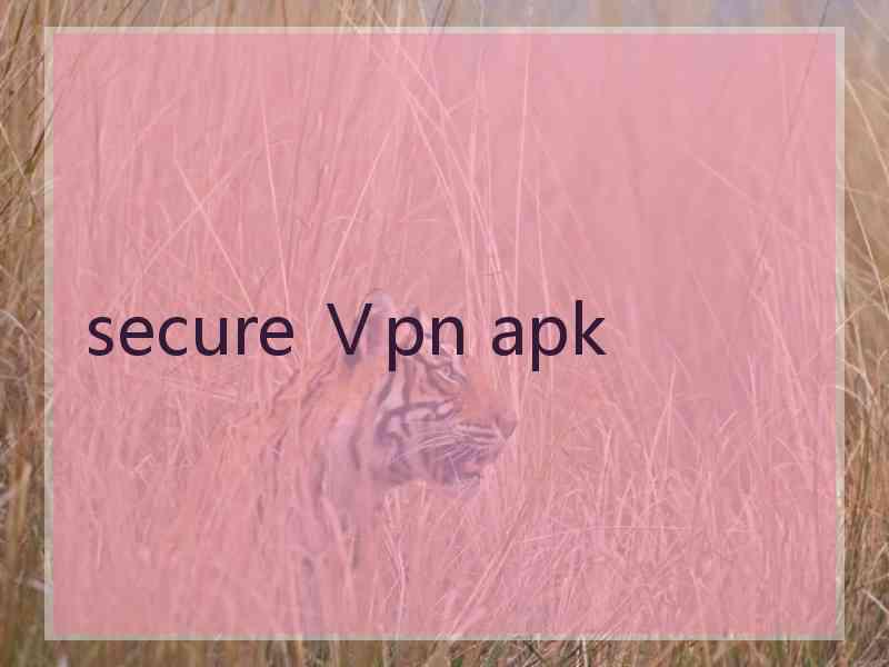 secure Ⅴpn apk