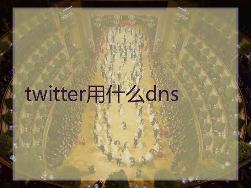 twitter用什么dns