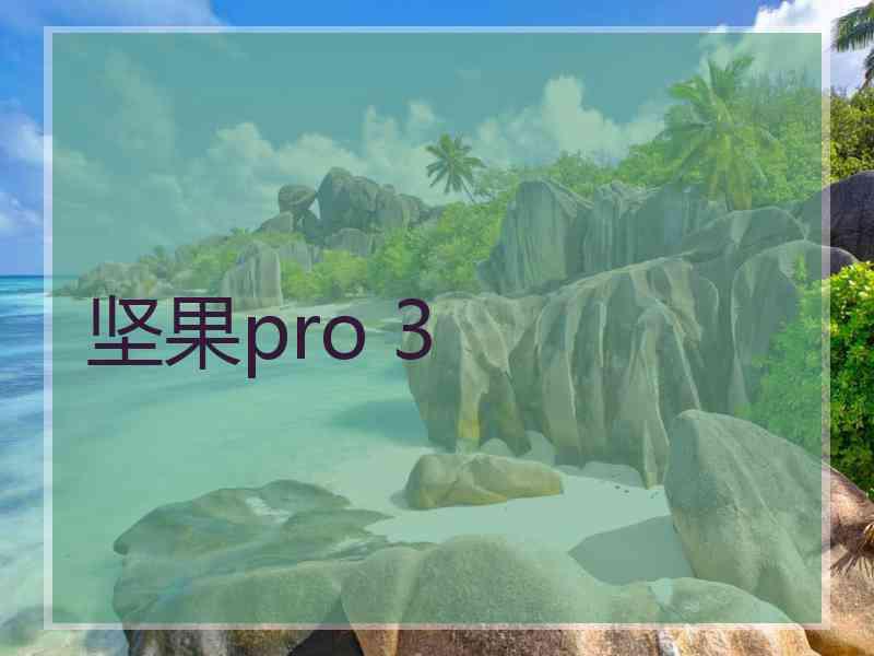 坚果pro 3