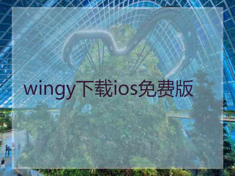 wingy下载ios免费版