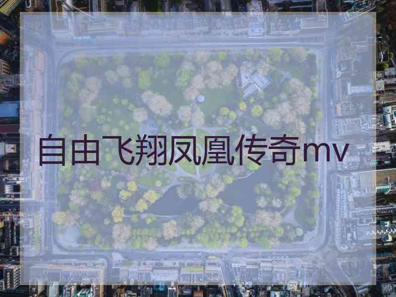 自由飞翔凤凰传奇mv