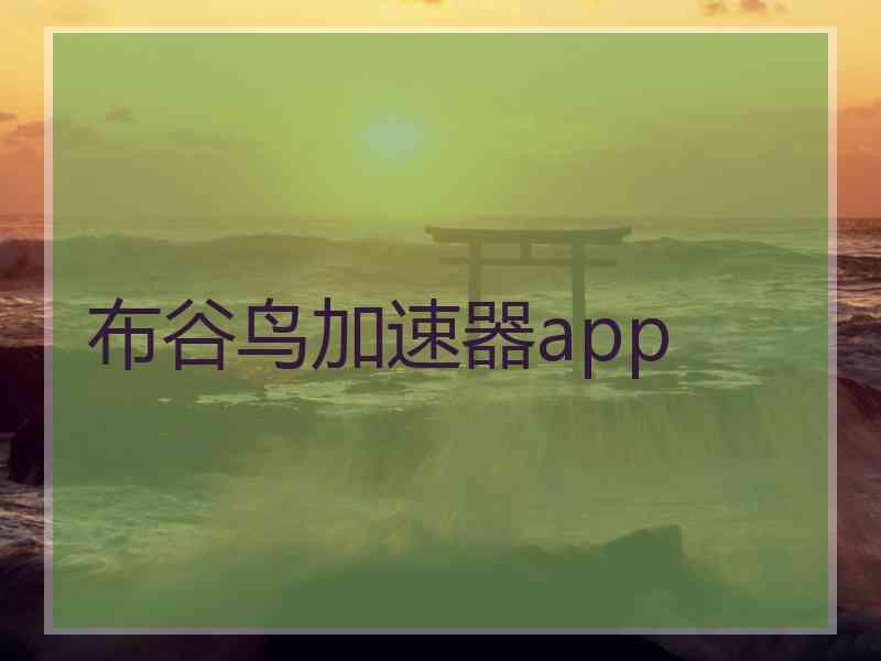 布谷鸟加速器app