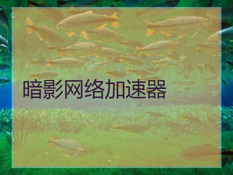 暗影网络加速器