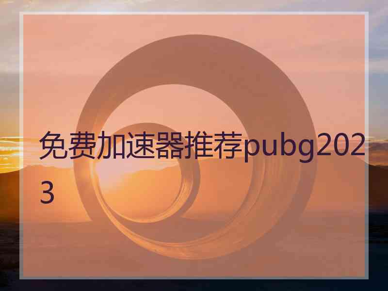 免费加速器推荐pubg2023