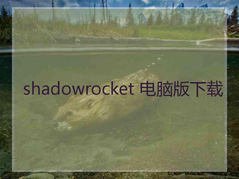 shadowrocket 电脑版下载