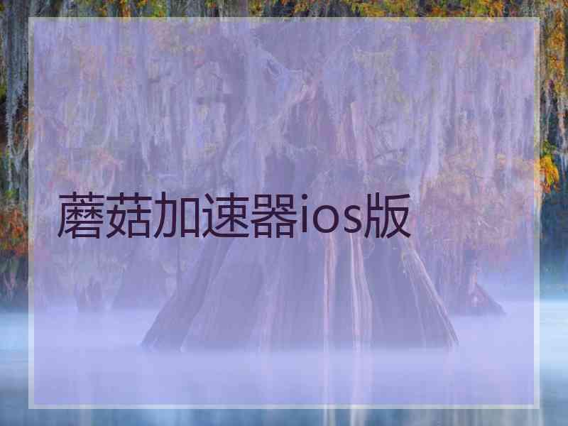 蘑菇加速器ios版