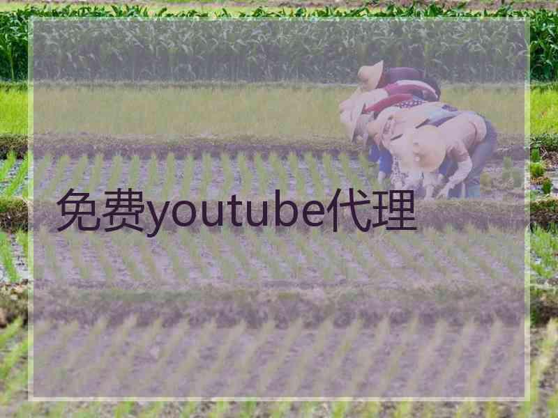 免费youtube代理