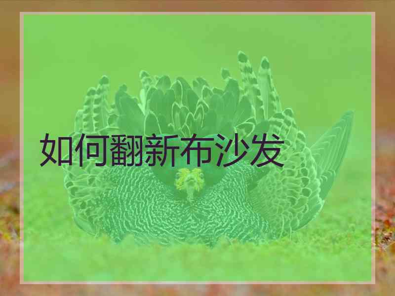 如何翻新布沙发