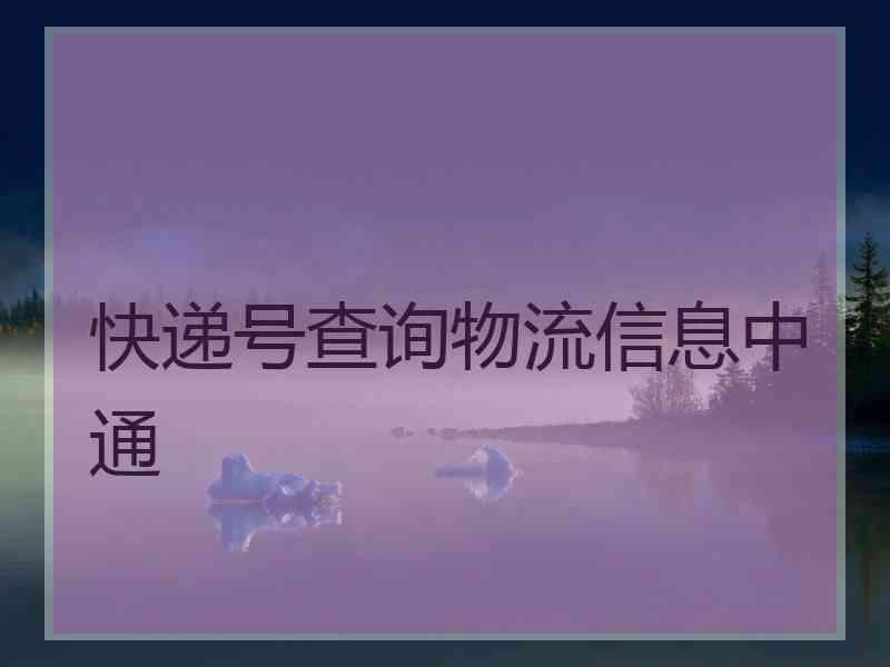 快递号查询物流信息中通