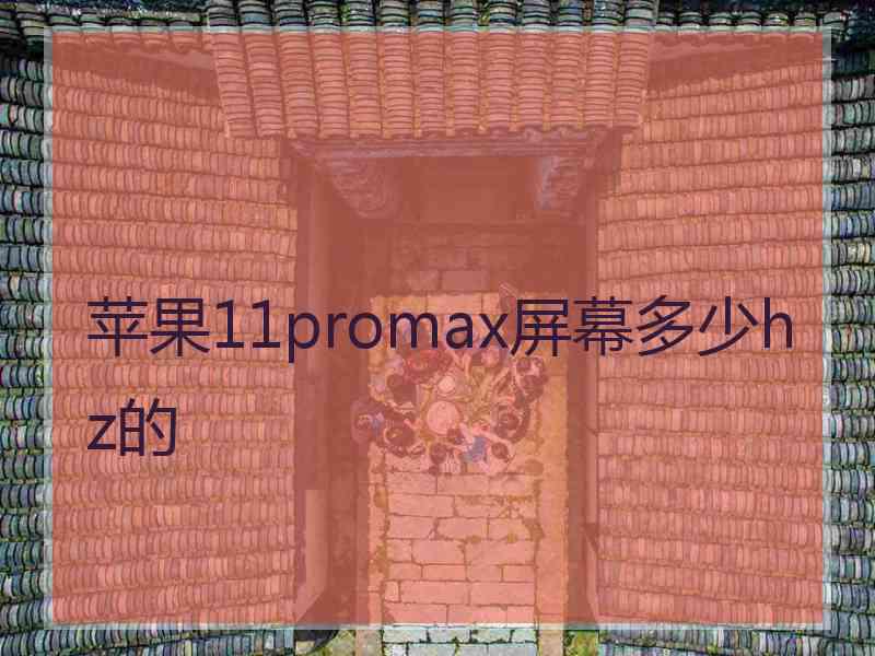 苹果11promax屏幕多少hz的