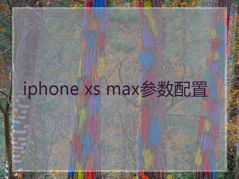 iphone xs max参数配置