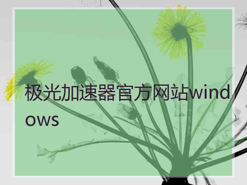 极光加速器官方网站windows