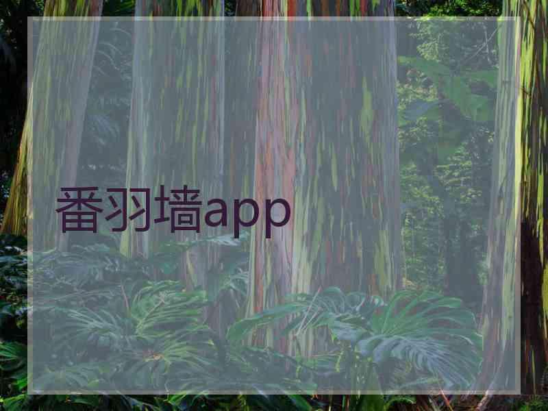 番羽墙app