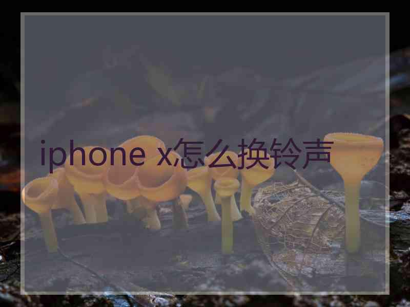 iphone x怎么换铃声