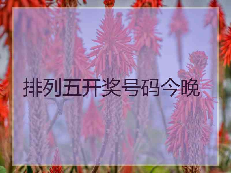 排列五开奖号码今晚