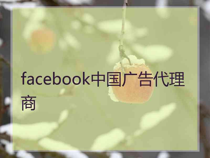 facebook中国广告代理商