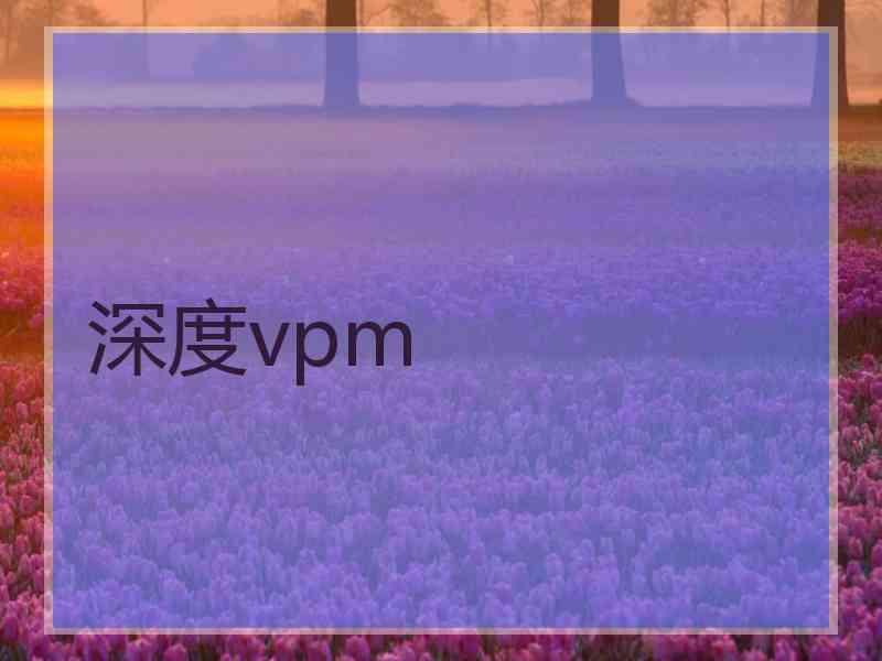 深度vpm