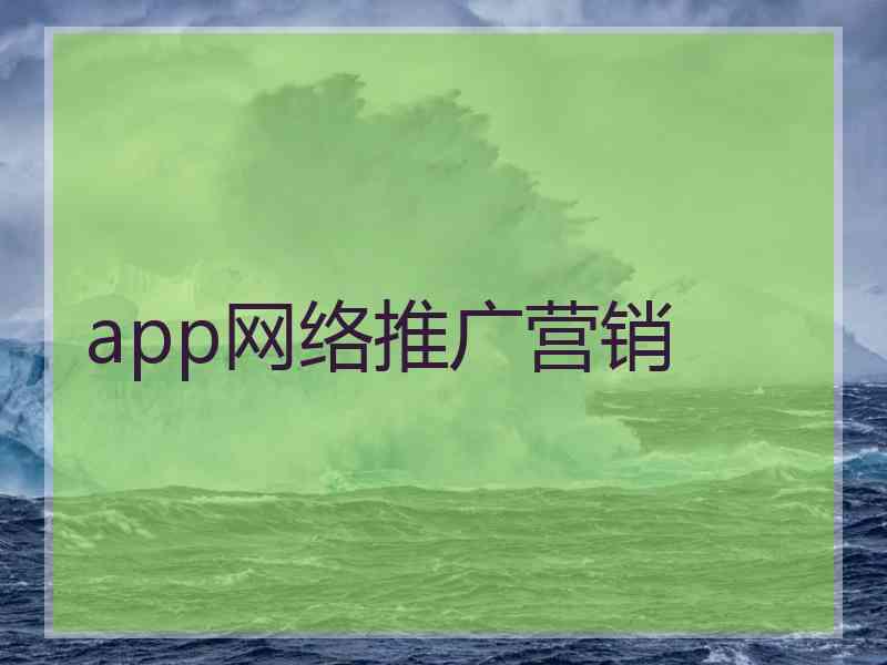 app网络推广营销