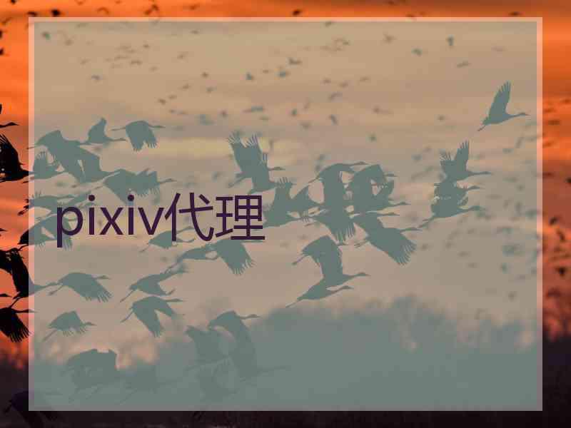 pixiv代理