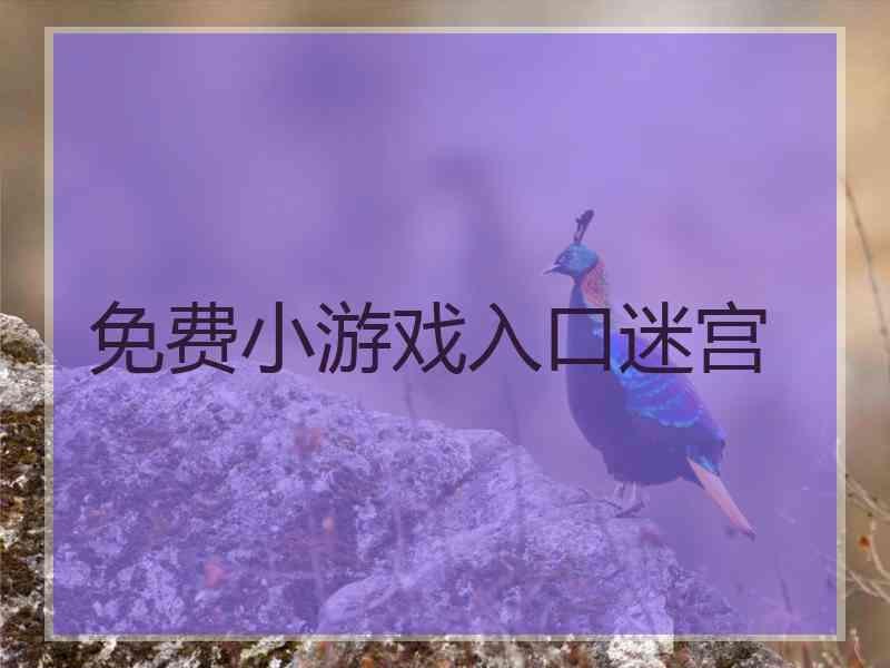 免费小游戏入口迷宫