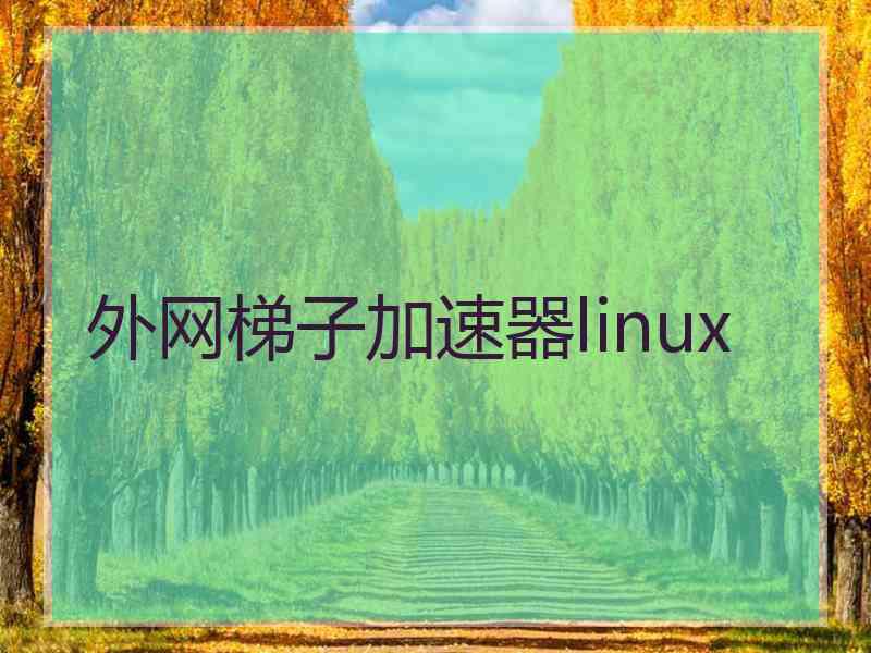 外网梯子加速器linux