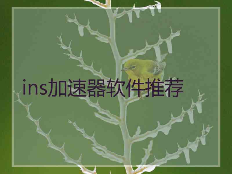 ins加速器软件推荐