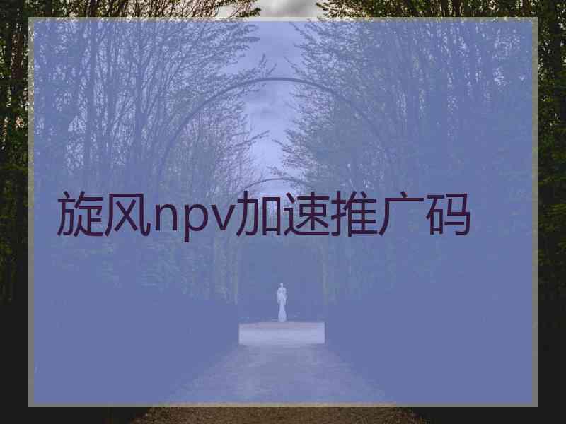 旋风npv加速推广码