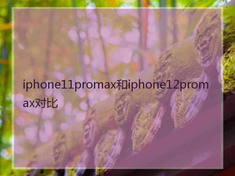 iphone11promax和iphone12promax对比