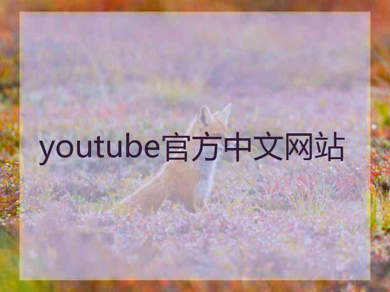 youtube官方中文网站