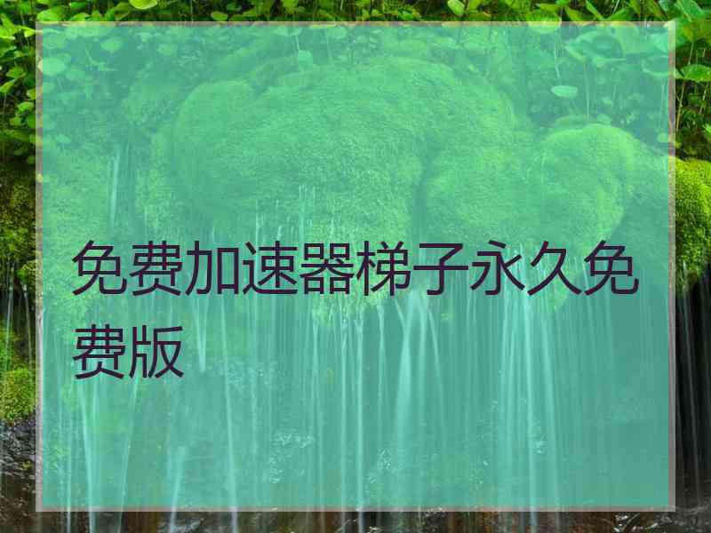 免费加速器梯子永久免费版