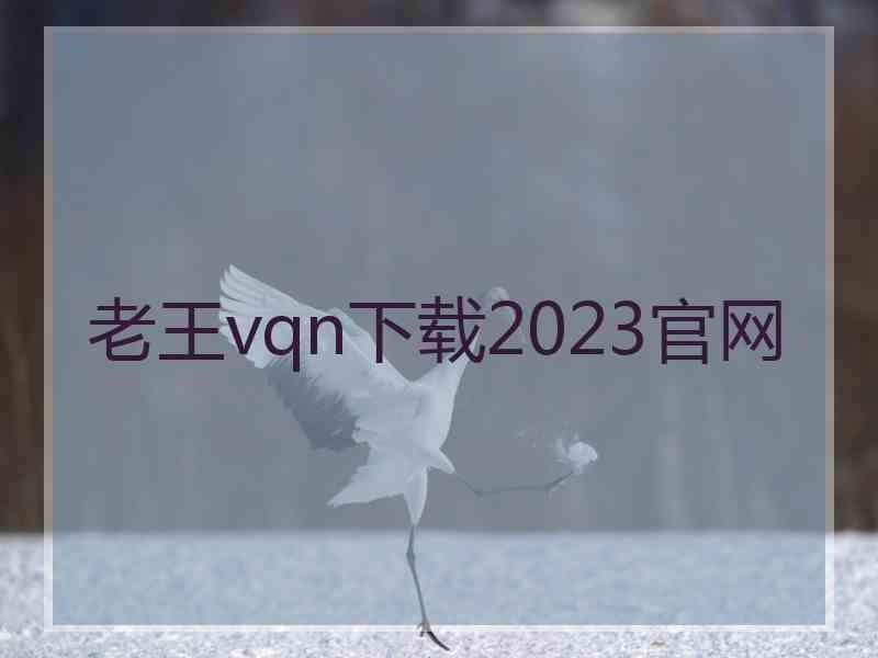 老王vqn下载2023官网