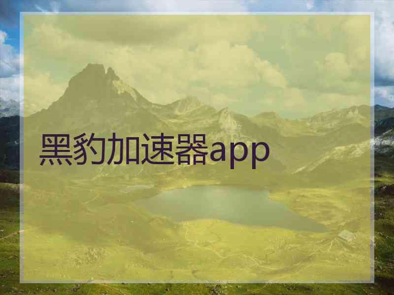 黑豹加速器app