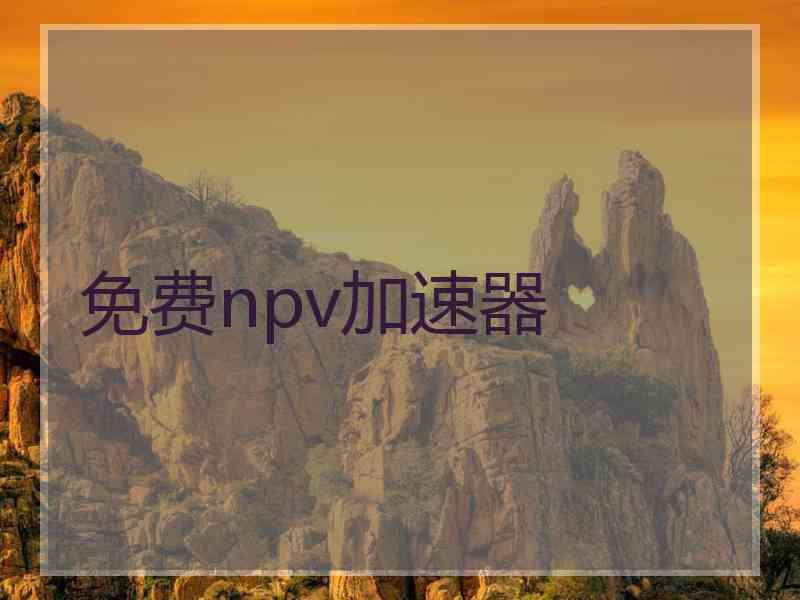 免费npv加速器