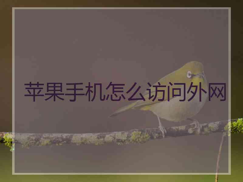 苹果手机怎么访问外网