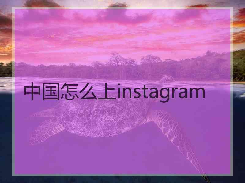 中国怎么上instagram