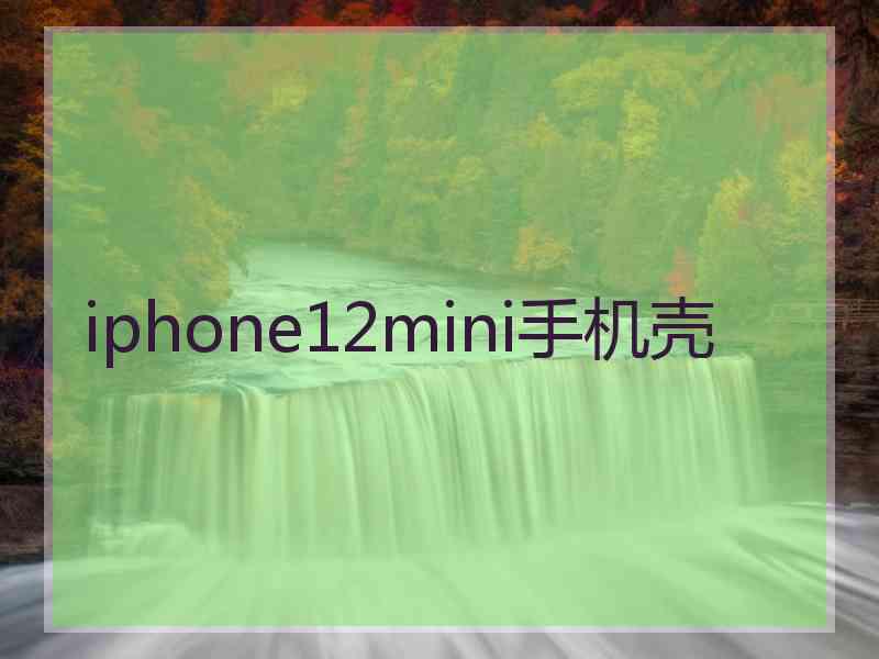 iphone12mini手机壳