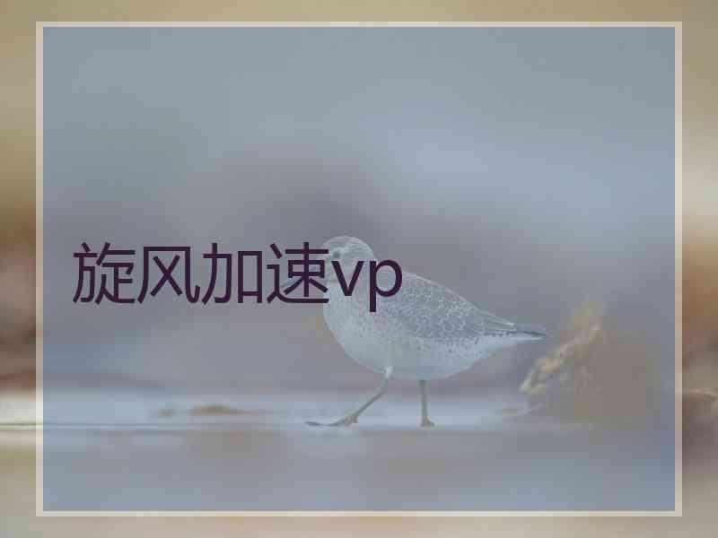 旋风加速vp