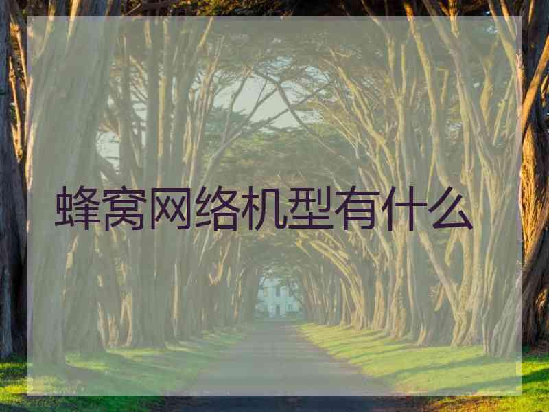 蜂窝网络机型有什么