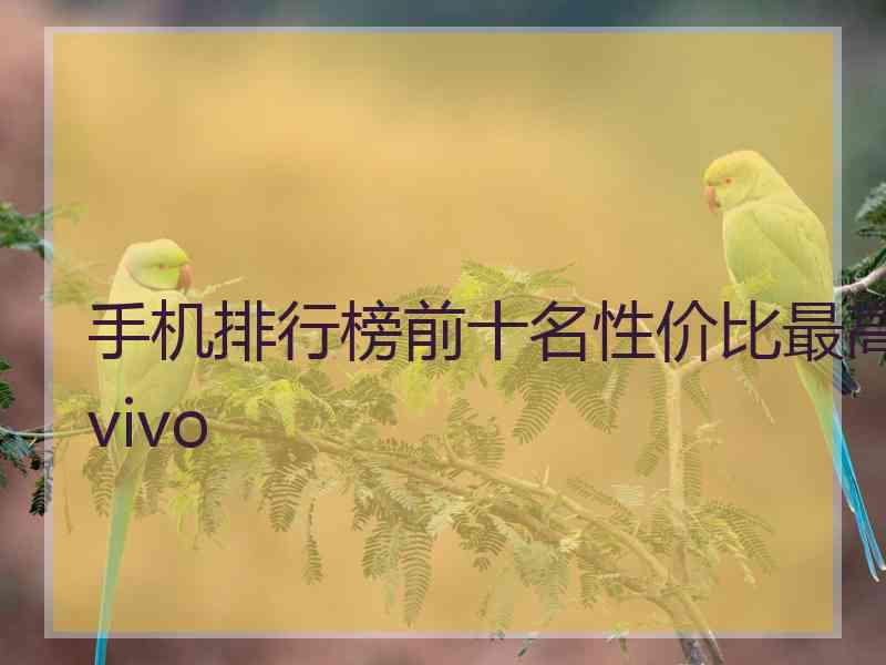 手机排行榜前十名性价比最高vivo