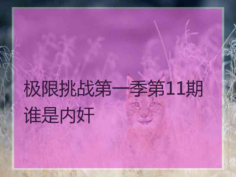 极限挑战第一季第11期谁是内奸