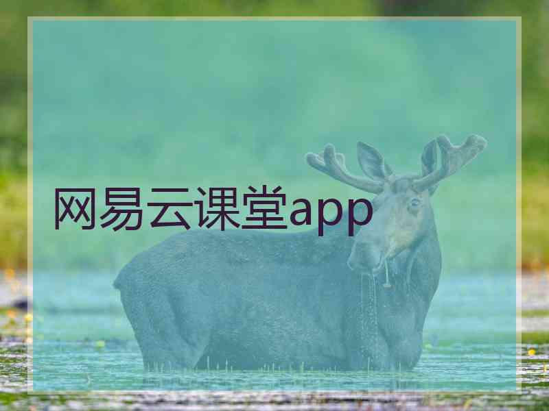 网易云课堂app