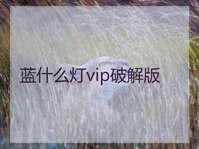 蓝什么灯vip破解版